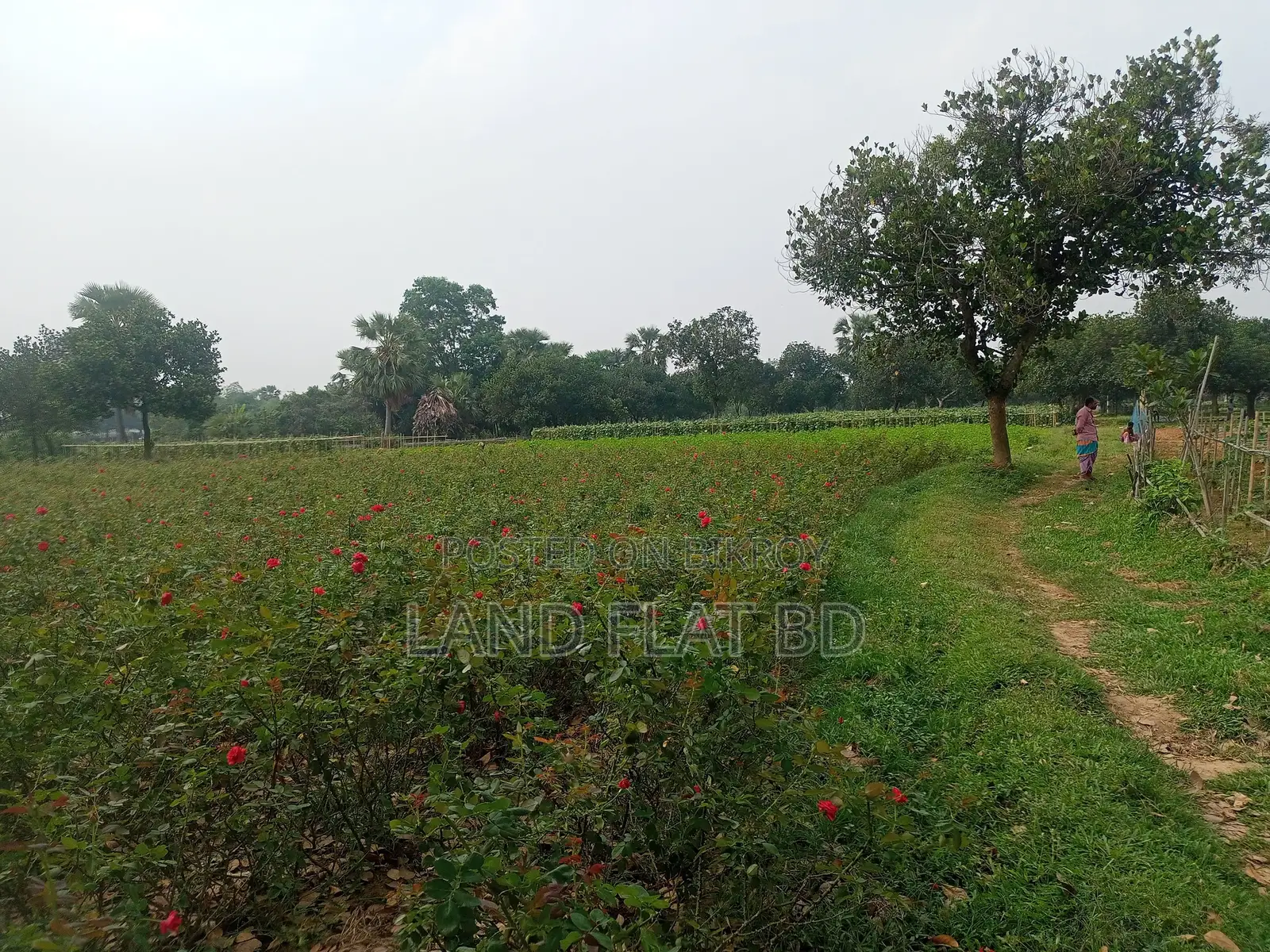 Affordable, Ready-to-Build Plots for Sale @ 3/5/10 Katha