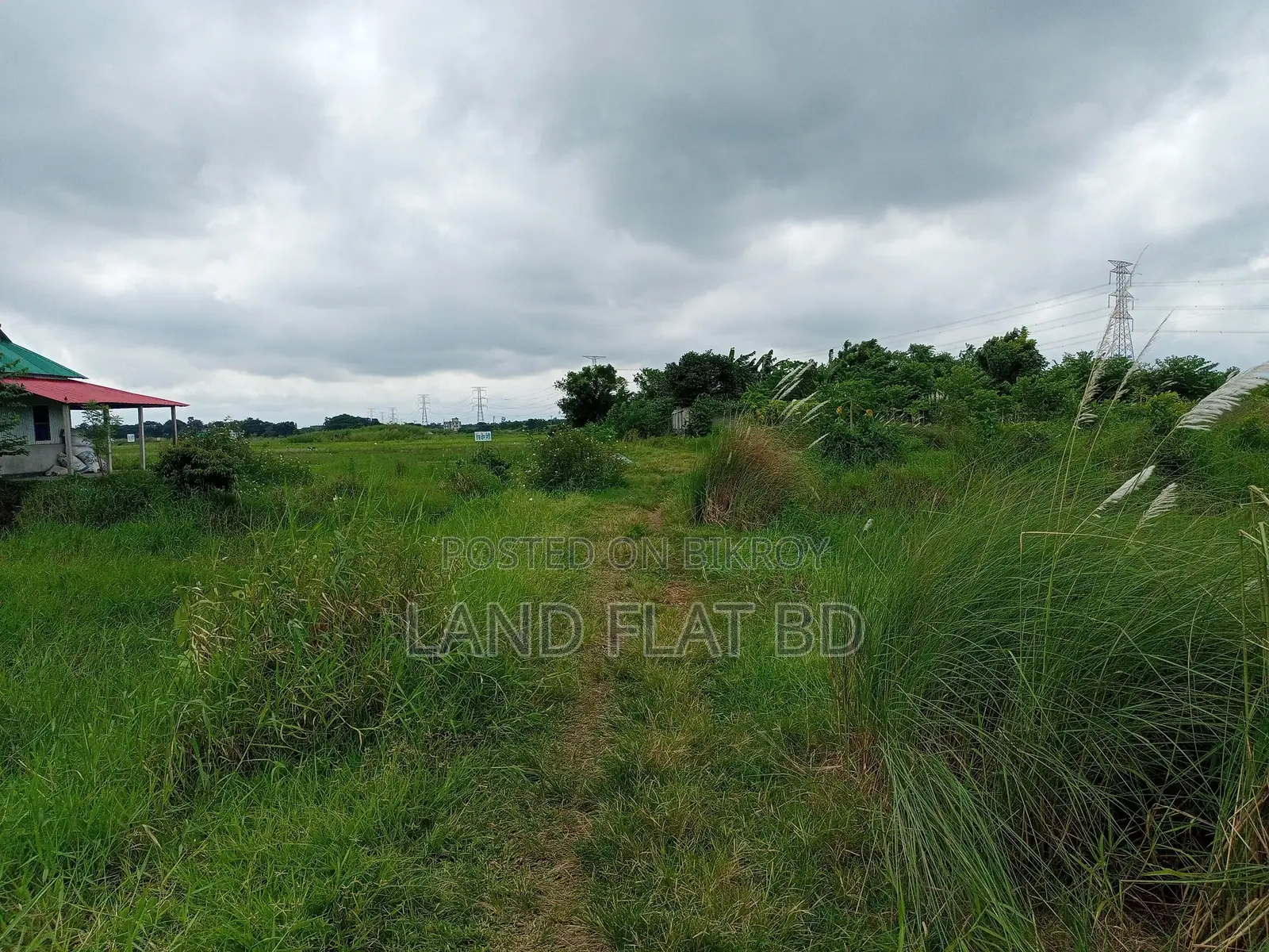সম্পূর্ণ কোলাহলমুক্ত পরিবেশ @ 15 কাঠা জমি বিক্রি হইবে