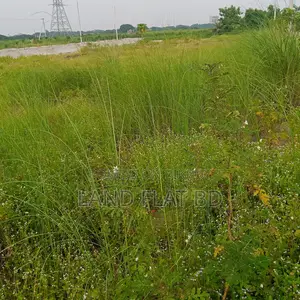 Ready Plot for Sale @ 6.5 Katha South-facing