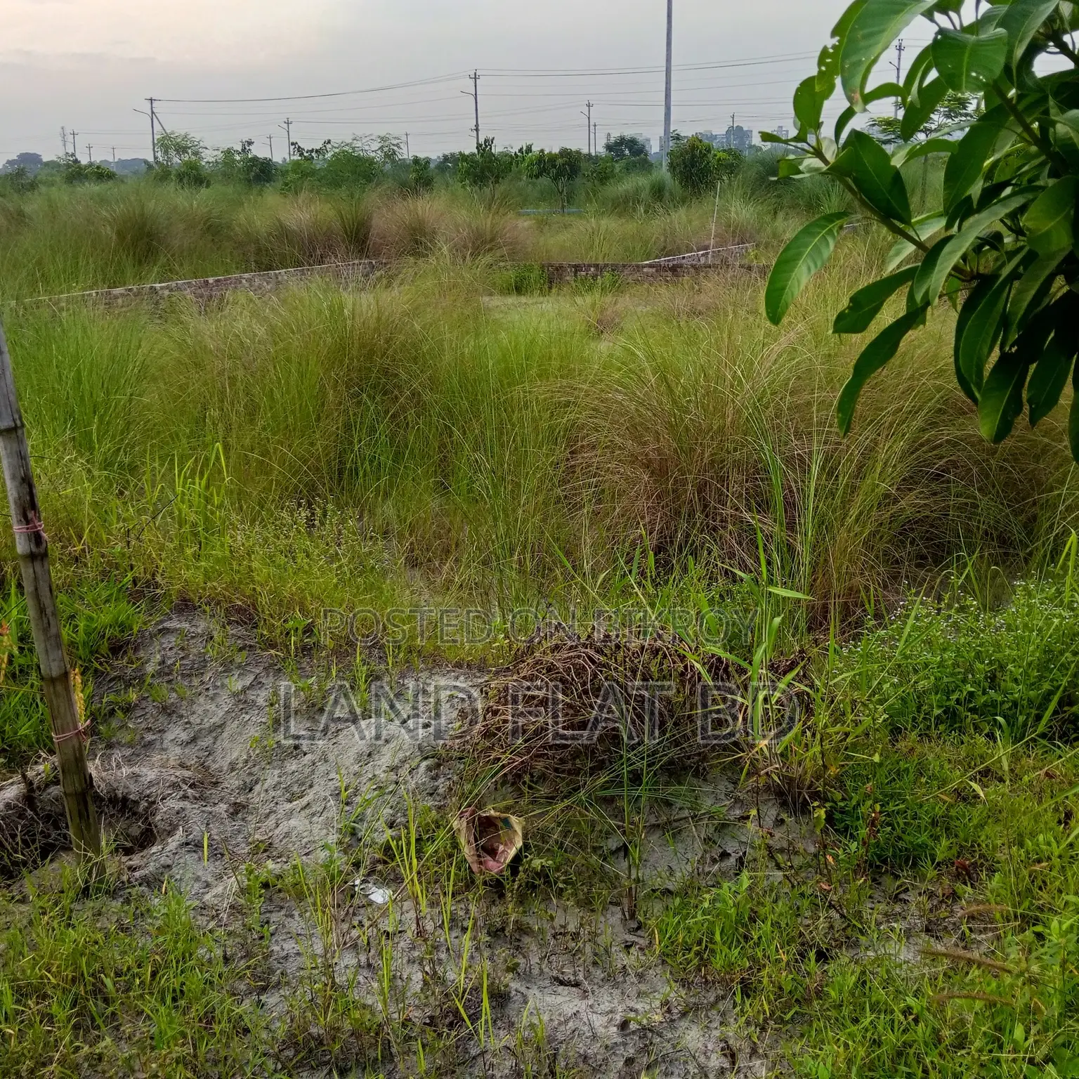 Ready Plot for Sale @ 6.5 Katha South-facing