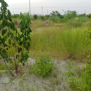 রেডি প্লট বিক্রয় @ 6.5 কাঠা দক্ষিণমুখী