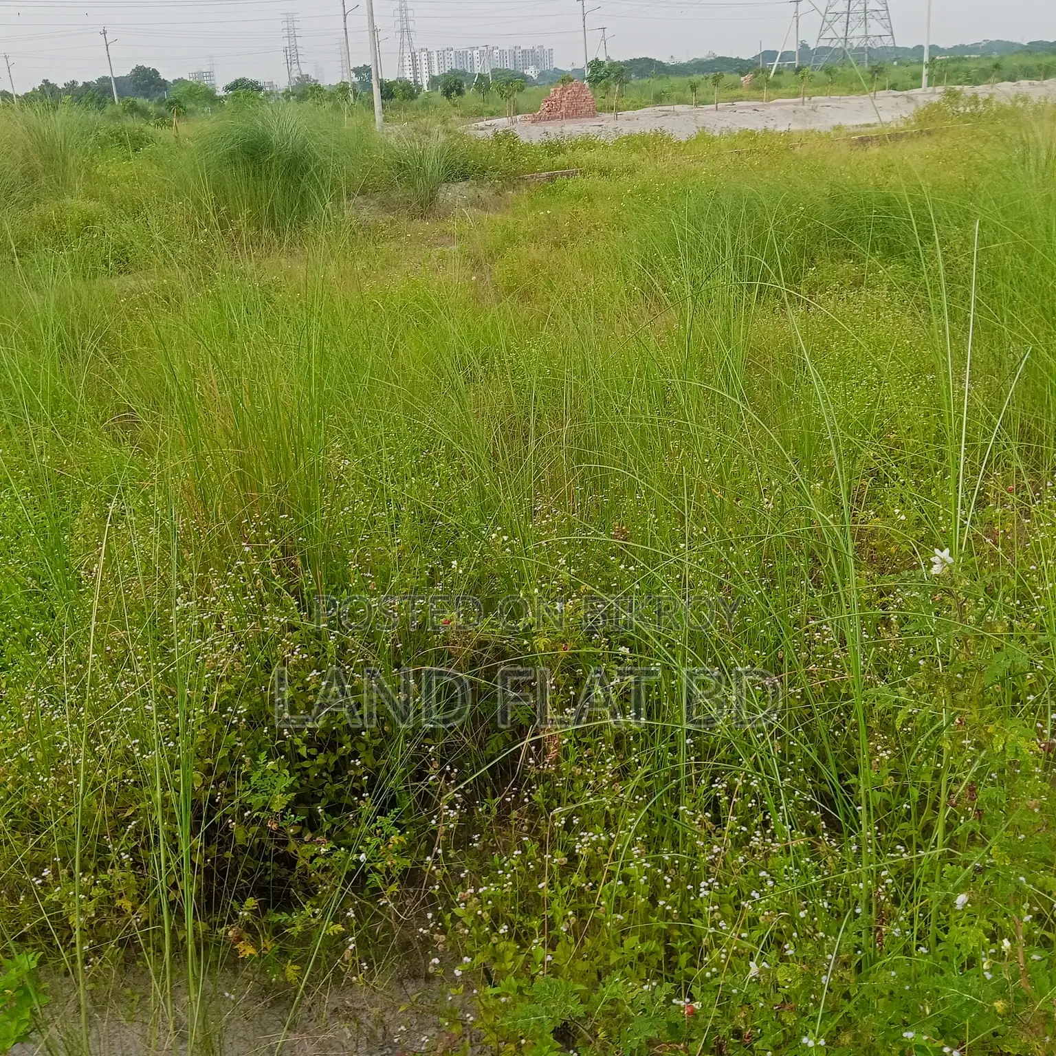 Ready Plot for Sale @ 6.5 Katha South-facing