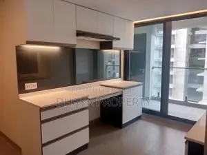 Luxurious Brand New Apartment Rent with Gym -Swimming pool