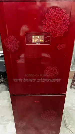 LG 248-Liter Refrigerator for Sale