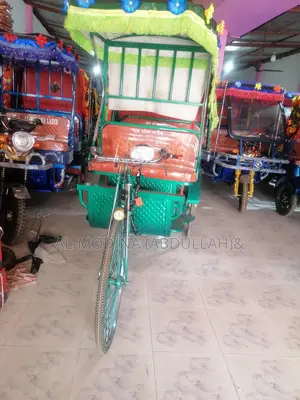 Model: 1005 Disabled Rickshaw - White Mudguard