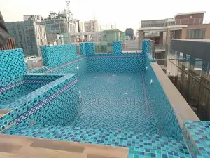 3800 Sqft 4Bed Gym/Pool Nice Apt Rent in Gulshan