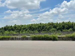 পূর্বাচল (Purbachal) ৫৪' এভেনিউতে কমার্শিয়াল জোনের পাশে প্লট বিক্রয়।