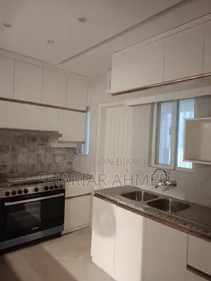 Luxurious 4600 SqFt Semi Furnished Flat Rent In Gulshan 2