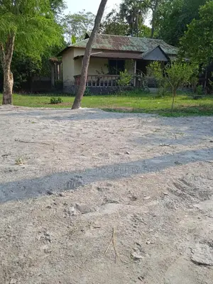 Premium Investment: 16.50 Decimal Land with House for Sale near Purbachal