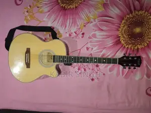 Guitar Model Tgm Tm01 for sell