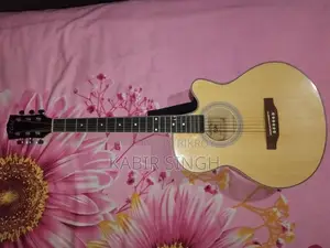 Guitar Model Tgm Tm01 for sell