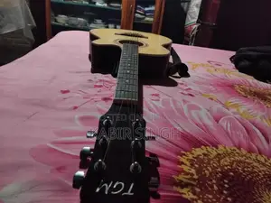 Guitar Model Tgm Tm01 for sell