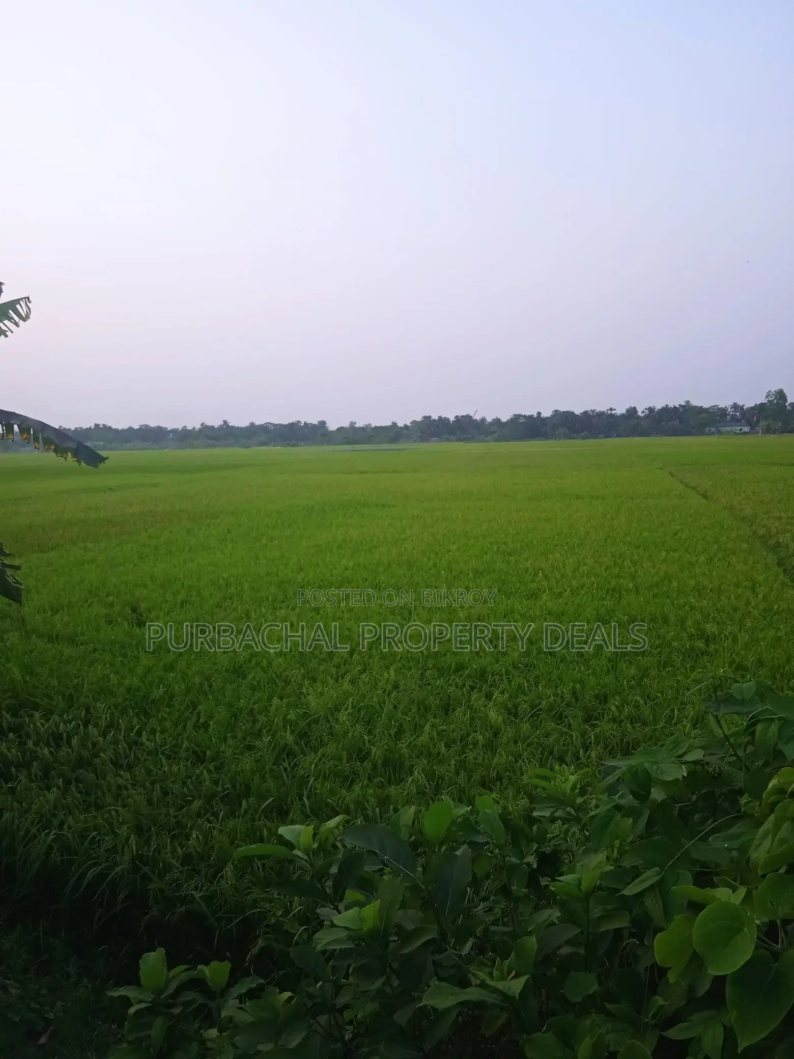 রূপগঞ্জে প্রিমিয়াম ইনভেস্টমেন্ট: ৭০ শতাংশ জমি এখনই আপনার