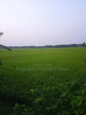 রূপগঞ্জে প্রিমিয়াম ইনভেস্টমেন্ট: ৭০ শতাংশ জমি এখনই আপনার