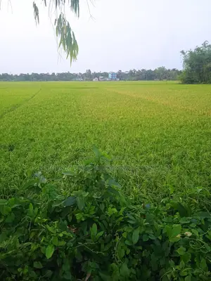 রূপগঞ্জে প্রিমিয়াম ইনভেস্টমেন্ট: ৭০ শতাংশ জমি এখনই আপনার