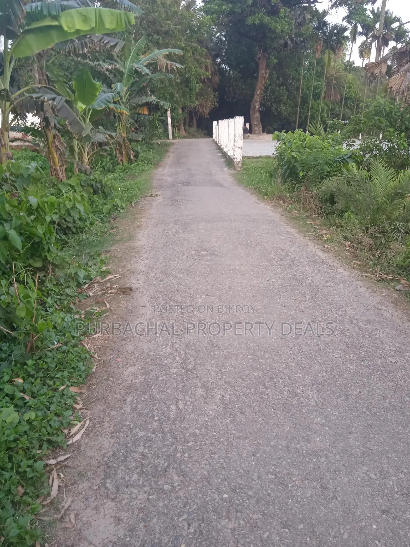 রূপগঞ্জে প্রিমিয়াম ইনভেস্টমেন্ট: ৭০ শতাংশ জমি এখনই আপনার