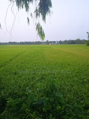 রূপগঞ্জে প্রিমিয়াম ইনভেস্টমেন্ট: ৭০ শতাংশ জমি এখনই আপনার