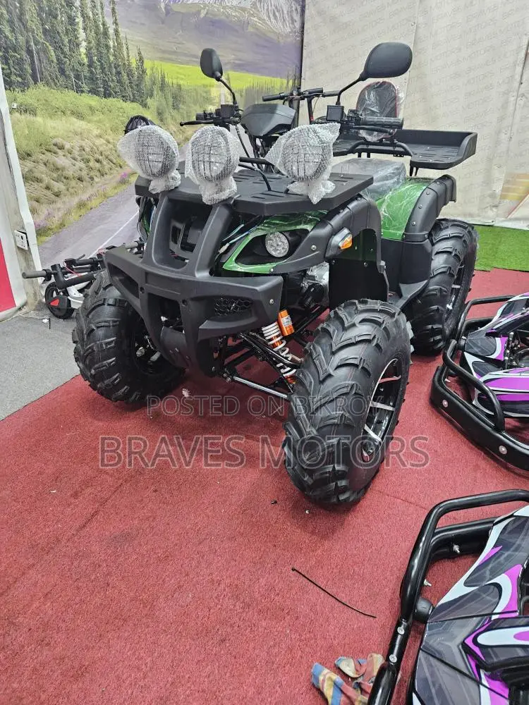 Zongshen Spark ZS Quad Bike CVT Engine 2025