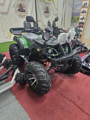 Zongshen Spark ZS Quad Bike CVT Engine 2025