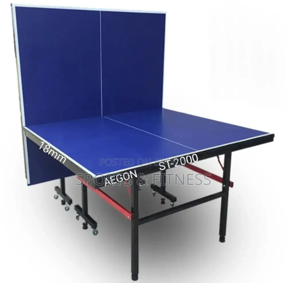 AEGON 18mm Table Tennis Board Single Folding with Wheel