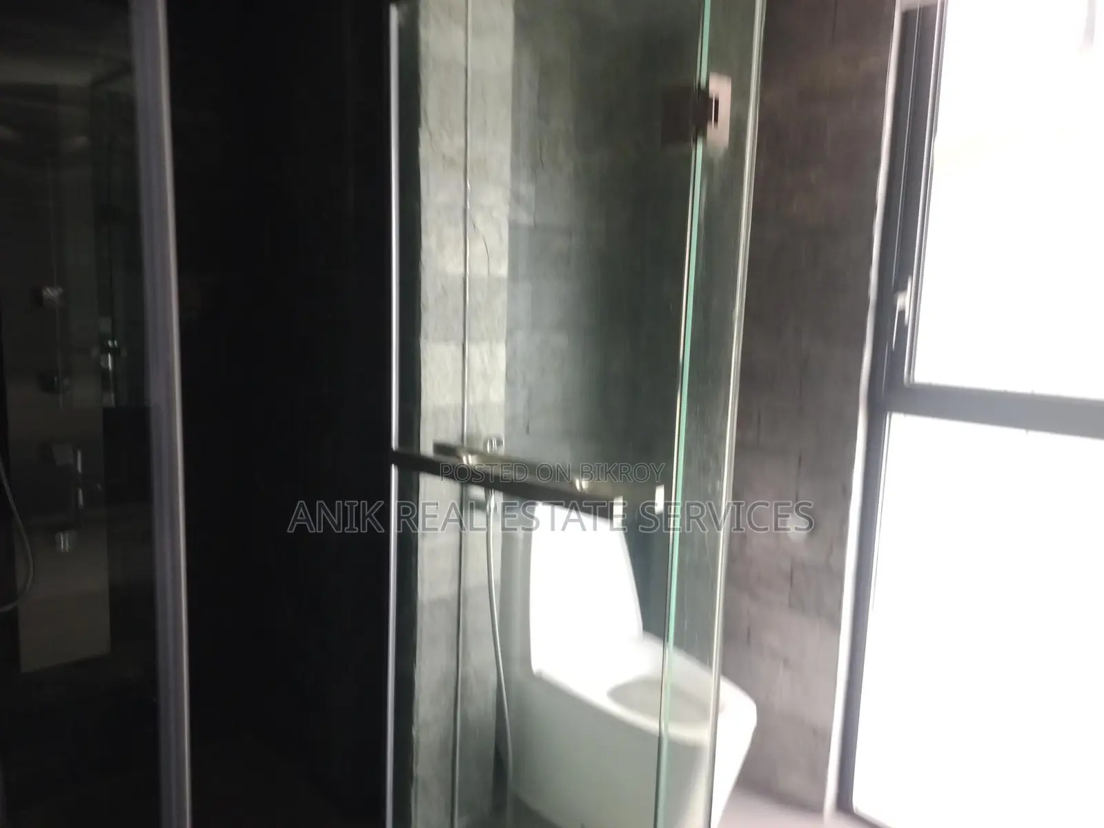 Swmming pool Gym Semi Farnised Flat Rent At Gulshan North