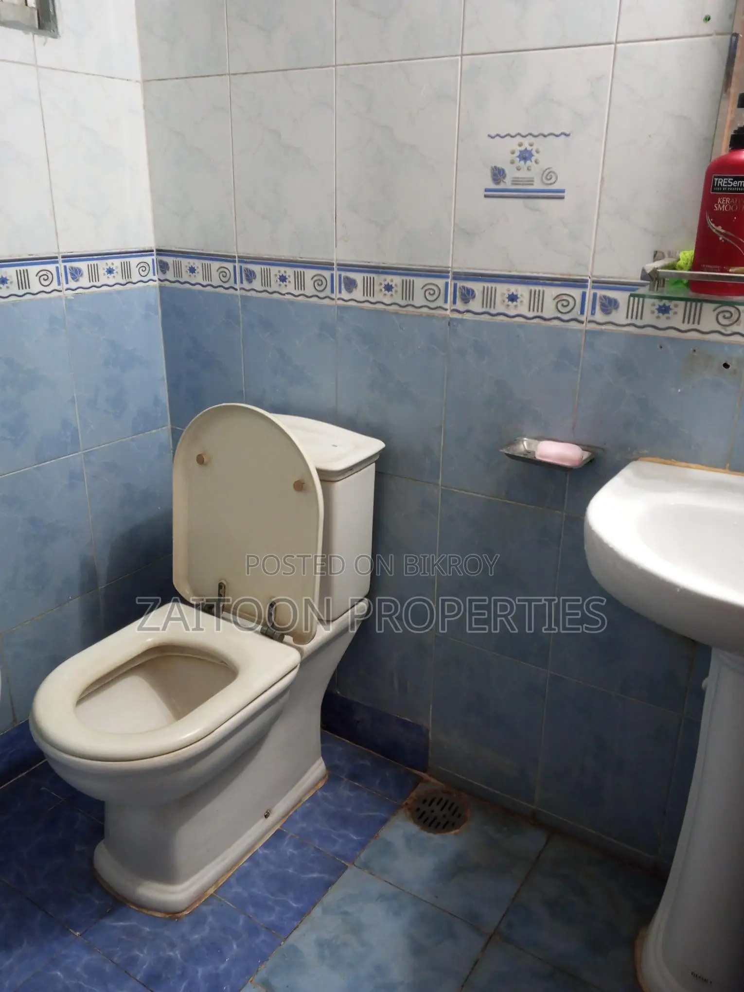 South-facing, airy 3-bedroom flat