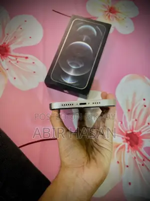 Apple iPhone 12 Pro Max (Used)