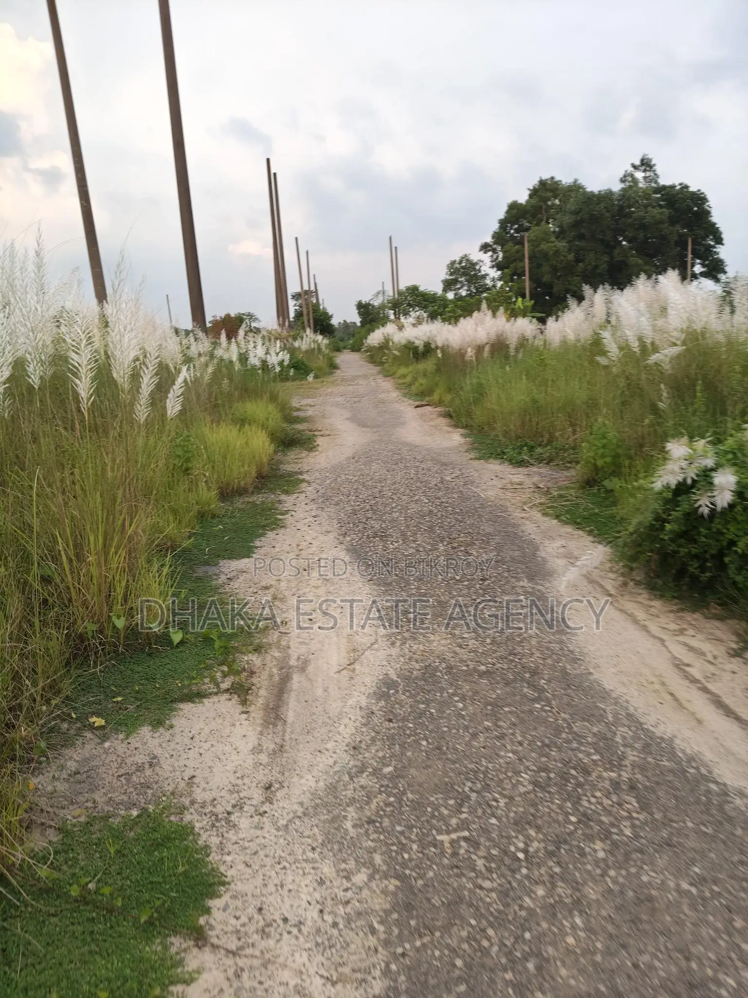 7.5 Katha Plot for Sale in Sector 18 Due to Urgent Need for Cash