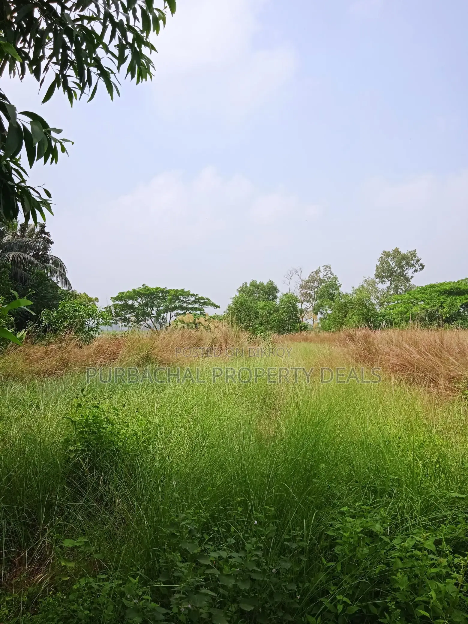 3 Bigha Square Land at Tarabo, Bhulta-Gausia – Perfect for Business and Industry