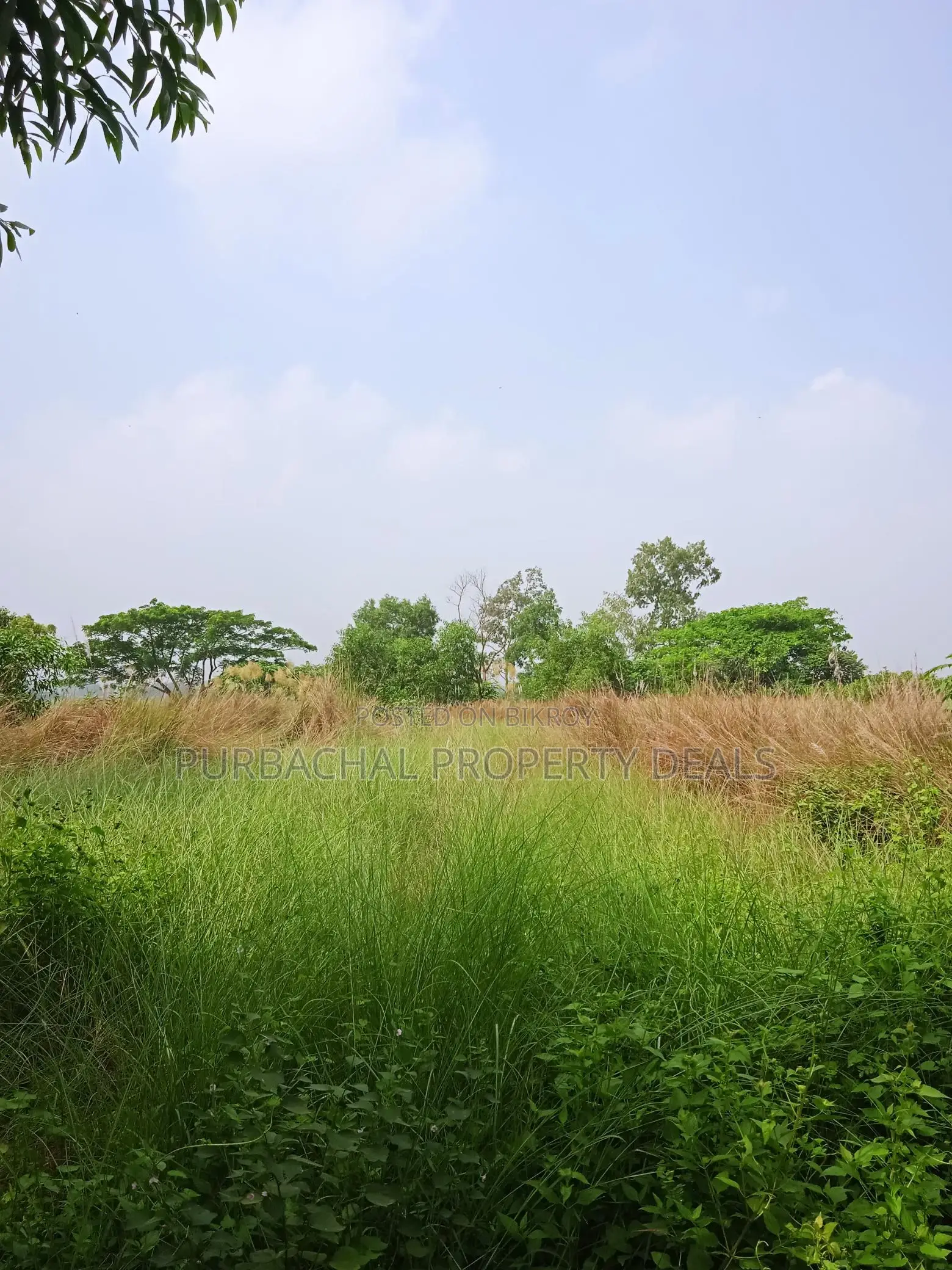 3 Bigha Square Land at Tarabo, Bhulta-Gausia – Perfect for Business and Industry