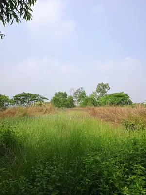 3 Bigha Square Land at Tarabo, Bhulta-Gausia – Perfect for Business and Industry