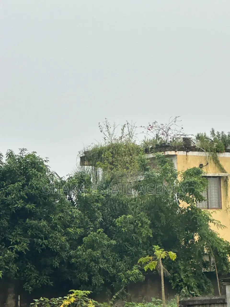 গুলশান ১, ১০ কাঠা প্লট বিক্রয়