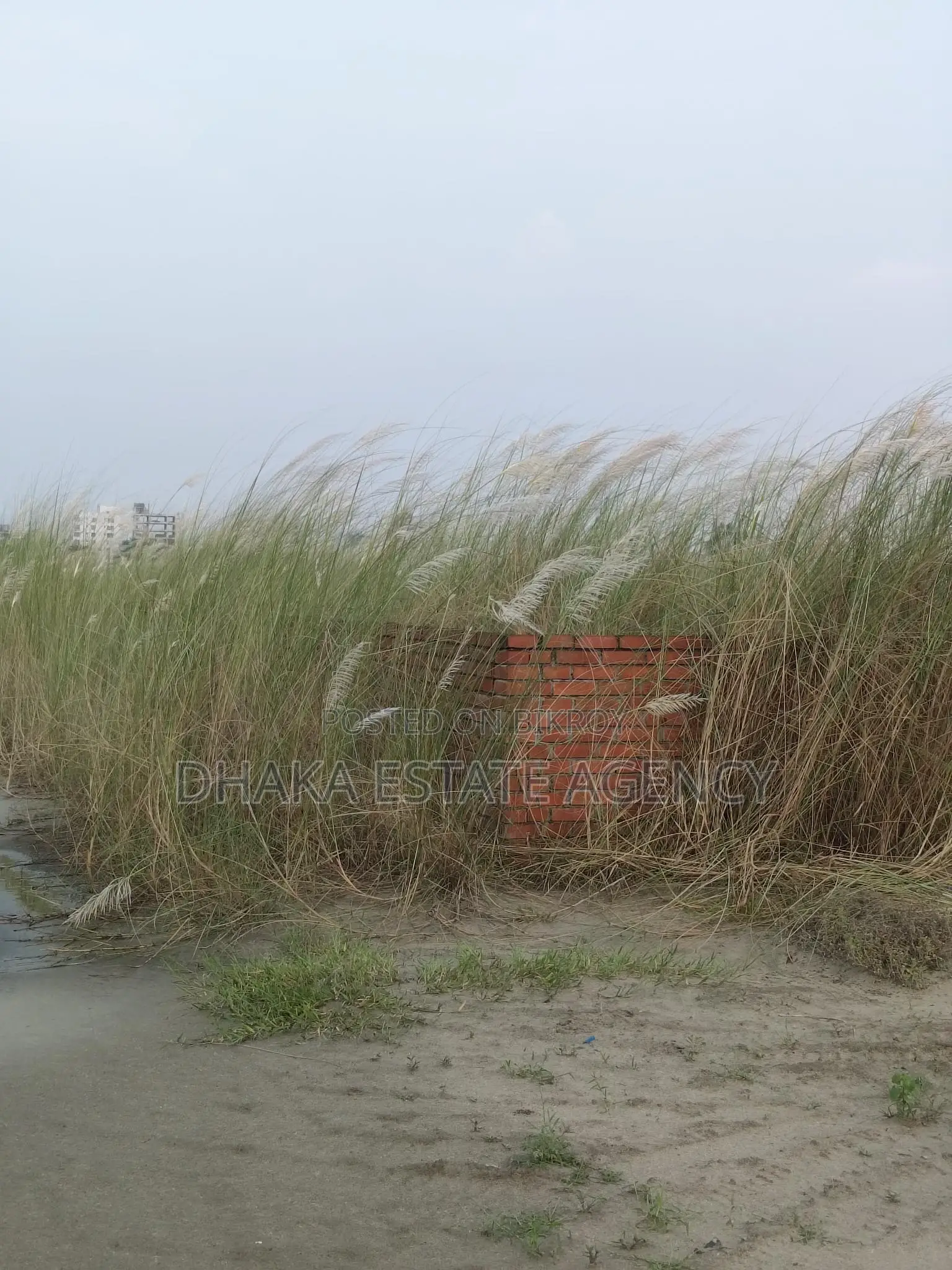 পি-এক্সটেনশন, ৪ কাঠা প্লট বিক্রয়