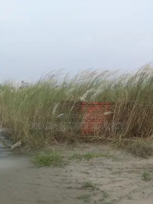 পি-এক্সটেনশন, ৪ কাঠা প্লট বিক্রয়