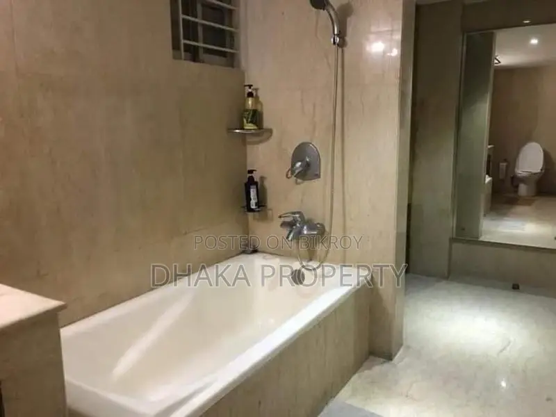 বারিধারা ডিপ্লোম্যাটিক জোনে বিলাসবহুল ফার্নিশড ফ্ল্যাট ভাড়া