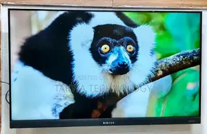 SINGER-50" Inche Google Framless Dolby Soundbar System Voice Control TV