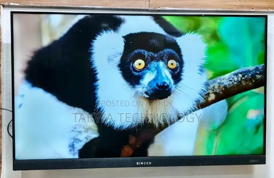 SINGER-50" Inche Google Framless Dolby Soundbar System Voice Control TV