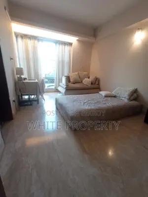 4300 sft Luxurious Apartment Sale in Gulshan-2