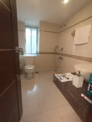 4300 sft Luxurious Apartment Sale in Gulshan-2
