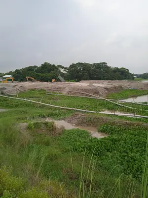 মেঘনার পাড়ে ৮০ বিঘা নদীভিউ জমি — রাজকীয় প্রজেক্টের উপযুক্ত লোকেশন!
