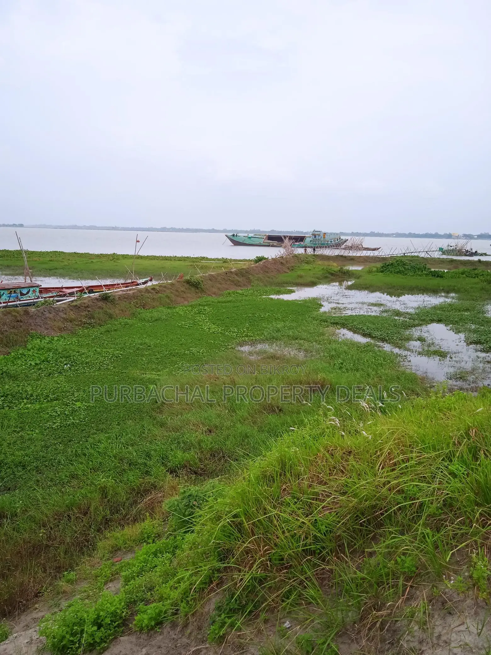 মেঘনার পাড়ে ৮০ বিঘা নদীভিউ জমি — রাজকীয় প্রজেক্টের উপযুক্ত লোকেশন!