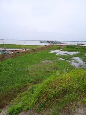 মেঘনার পাড়ে ৮০ বিঘা নদীভিউ জমি — রাজকীয় প্রজেক্টের উপযুক্ত লোকেশন!