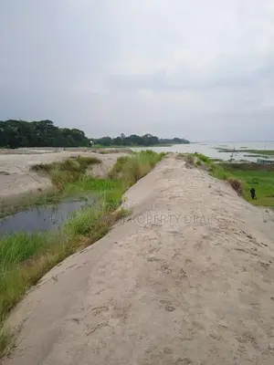 মেঘনার পাড়ে ৮০ বিঘা নদীভিউ জমি — রাজকীয় প্রজেক্টের উপযুক্ত লোকেশন!
