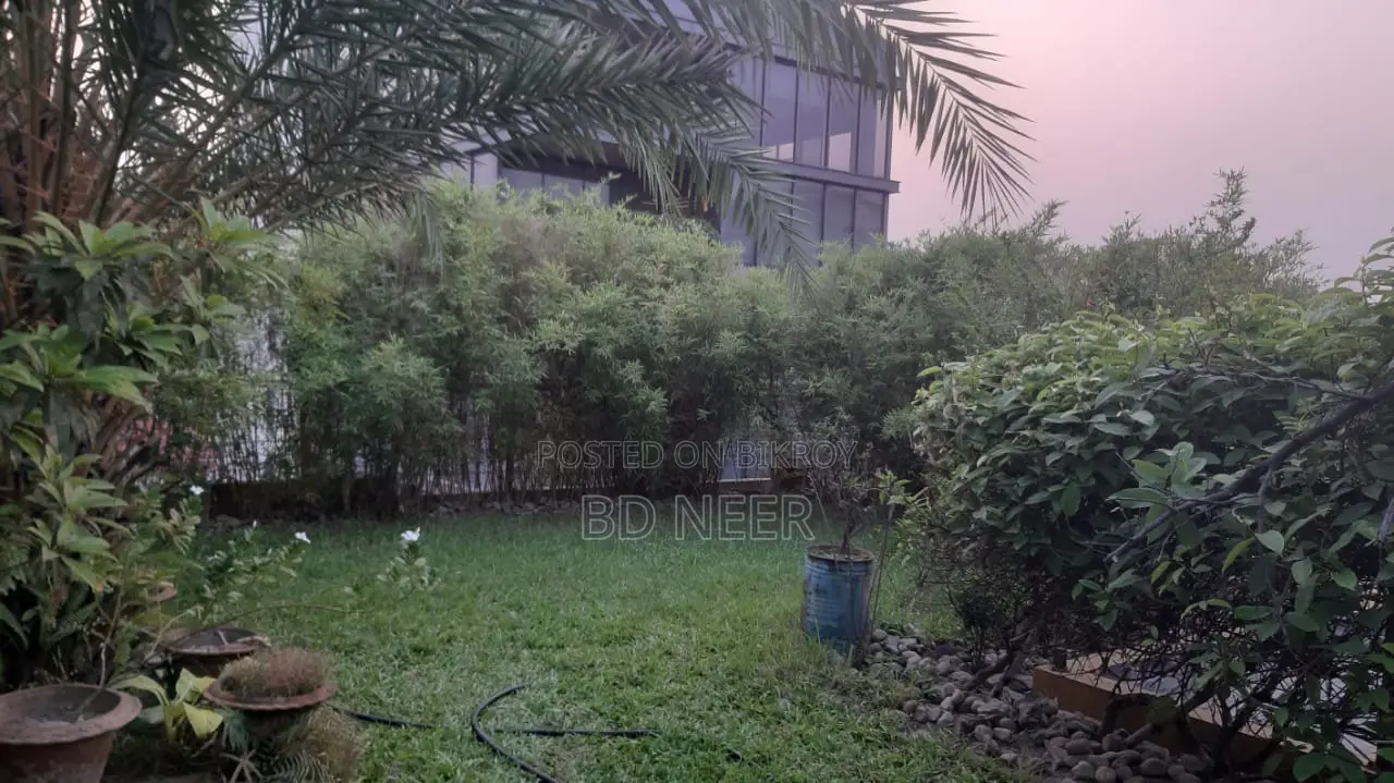 বারিধারা ডিপ্লোম্যাটিক জোনে ডুপ্লেক্স সেমি-ফার্নিশড ৪ বেডরুমের ফ্ল্যাট ভাড়া হবে