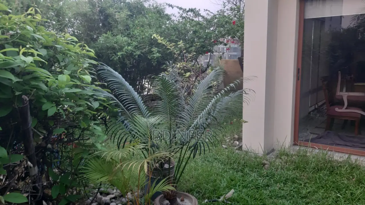 বারিধারা ডিপ্লোম্যাটিক জোনে ডুপ্লেক্স সেমি-ফার্নিশড ৪ বেডরুমের ফ্ল্যাট ভাড়া হবে