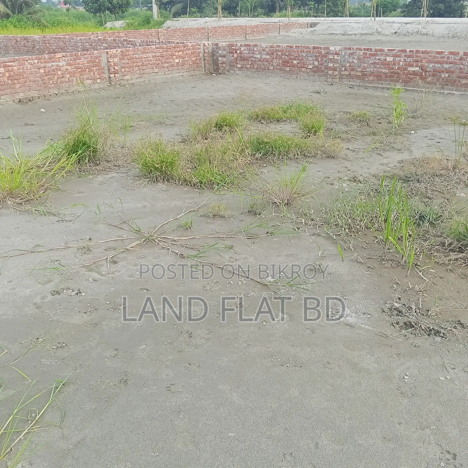 3 Katha Plot for Sale