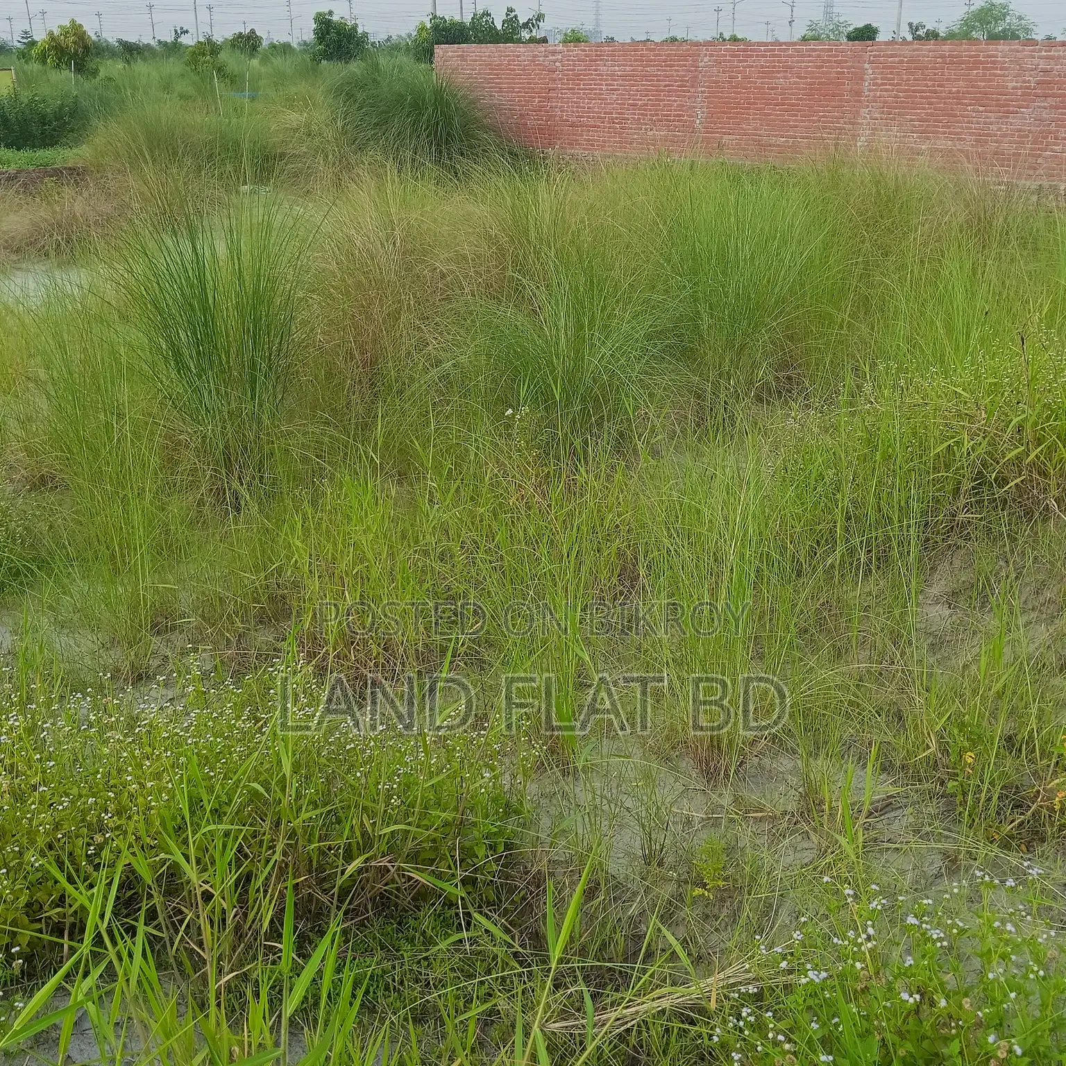 3 Katha Plot for Sale