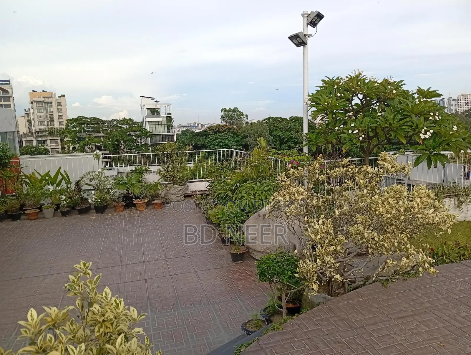 Penthouse With Swimming Pool 4 Bedroom Apt. Rent in North Gulshan-2
