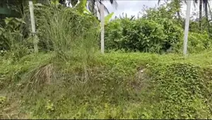 VIP 25 Decimal Land for Sale Adjacent to Purbachal Asian Highway