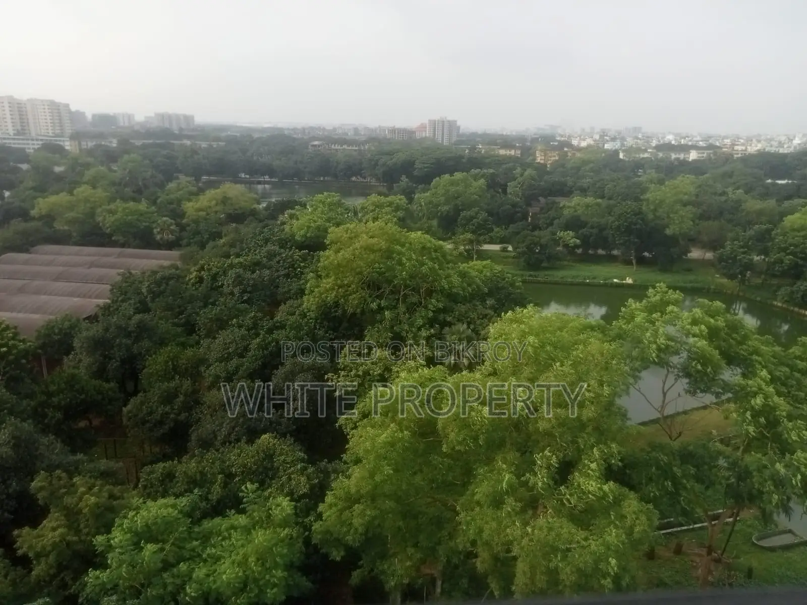 Apartment Sale in Road-67, North Gulshan